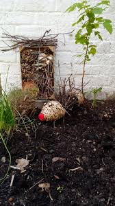 Hotel A Insectes Recup Cagette Pot Pommes De Pin Coquillages Brindilles Et Mr H Cartes Invitation Anniversaire Enfant Hotel A Insectes Deco Exterieure