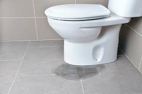 Diy plumbing repair toilet handle. 6 Steps To Fix A Toilet Leaking At The Base Prevention Tips