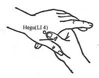 Image result for hegu acupuncture point