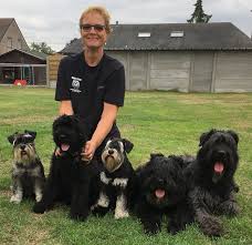 Bekijk meer ideeën over honden, bouvier des flandres, waakhond. Over Ons Aqualand Bouviers
