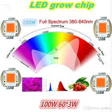 Full Spectrum Led Grow Lights 100w 60 3w Cob Led Grow Lightfor Diy Led Grow Lamps 380 840nm Led Plant Growth Light Source Led Grow Lights Reviews 600w Hps Grow Light From Peisled