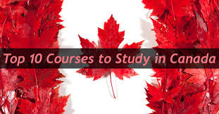 At western, kinesiology offers you the best of everything. Top Courses To Study In Canada For International Students