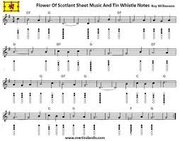 Flower Of Scotland Sheet Music And Tin Whistle Notes Tin Whistle Barbie Music Native American Flute