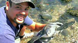 Fisherman catches sea turtle in Milford