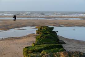 Toutes les infos immobilières à villers sur mer. Municipales A Villers Sur Mer Les Propositions Des Candidats Pour L Environnement Le Pays D Auge