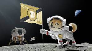4k ultra hd dogecoin wallpapers. Hd Wallpaper Doge Wow Wallpaper Astronaut Earth Flag Landing Meme Moon Wallpaper Flare