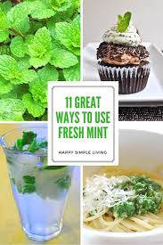 Maybe you would like to learn more about one of these? 11 Things To Do With Fresh Mint Happy Simple Living Spearmint Recipes Mint Recipes Fresh Peppermint Recipes