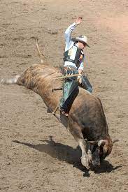 In bull riding, there are not many disqualification rules. Bull Riding Wikipedia