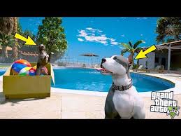 Yavru Pitbull Ormanda Kayboluyor Abisi Kaos Onu Ariyor Gta 5 Youtube