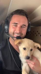 Every year, millions of animals end up in shelters. But we can change this.  By adopting, fostering, volunteering, and donating, we can help reduce  unnecessary euthanasia and give our furry friends the ...