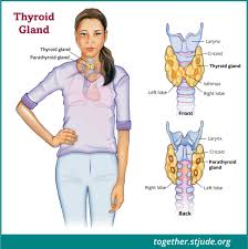 Medullary Thyroid Cancer In Children And Teens Together