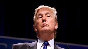 Daniel Seaman, Author at Mida