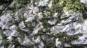 Texture Of A Rock With Some Moss Seamless Textures Texture Rock Textures