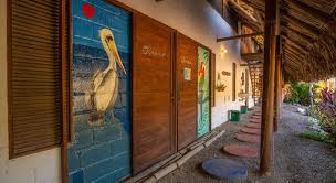Find the ideal hotel in the area. El Zoo Hostel Pool Palomino 2020 Neue Angebote 7 Hd Fotos Bewertungen