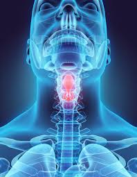 Image result for Epiglottitis