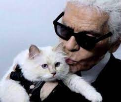 See more of esmee, a.k.a pisica lui karl lagerfeld, victima malpraxisului nepedepsit on facebook. Choupette Pisica Lui Karl Lagerfeld A Transmis Pe Instagram Cu O InimÄƒ OdatÄƒ Rece Dar Acum FrantÄƒ Intru In Doliu Evenimentul Zilei