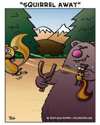 Nuts Squirrelaway Bear Flyingsquirrel Slingshot Cartoon Puns Wordplay Funny Meme Lol Humor Webcomic Forest Squ Cartoon Webcomic Mario Characters