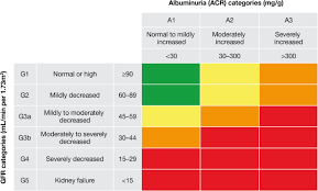Burden Of Chronic Kidney Disease By Kdigo Categories Of Glomerular Filtration Rate And Albuminuria A Systematic Review Springerlink