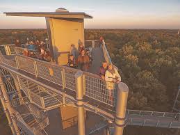 Besucherverkehr im rathaus ab sofort nur noch per terminvereinbarung. Beelitzer Heilstatten Ein Ort Voller Geschichte N Hermann Im Netz