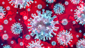 Mapping the coronavirus outbreak across the world. Covid 19 Novel Coronavirus Remains Stable On Surfaces For Hours Pmlive