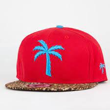 Blvd Supply Soulja Mens Strapback Hat Strapback Cap Strapback Hats Hats
