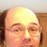 If you go down to the woods..