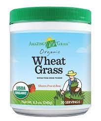 Organic Wheat Grass Powder 30 Servings Zulily Amazing Grass Wheat Grass Wheatgrass Powder