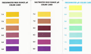 Free Downloads Pump Filter Instructions Test Kit Charts