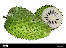 Image result for Annona