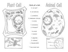 Maybe you would like to learn more about one of these? Ann Adkins Aadkins1047 Profile Pinterest