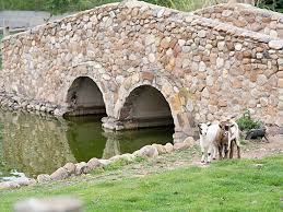 Maybe you would like to learn more about one of these? Hospederia Los Reales Un Paraiso Para Los Ninos Amantes De Los Animales Menudo Es Leon