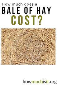 These costs do not reflect the value of the property, land taxes, insurance, or property maintenance, including barns and fences. How Much Does A Bale Of Hay Cost See What Others Are Paying Via Our Free Cost Helping Database Cost Baling Hay Bales