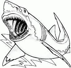 Jaws coloring pages free shark book wanted. Shark Coloring Pages Printable Coloring Page Photos Coloring Home