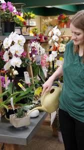Expert recommended top 3 florists in rochester, minnesota. Renning S Flowers Vendor Of The Week The Wedding Guys