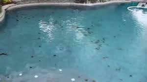 Stonescapes midnight blue pebble finish. Pool Plaster Newtown Square Stonescapes Aqua Blue Mini Pebble Youtube