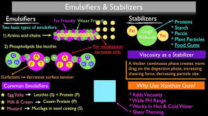 The process of mixing liquids to form an emulsion is called emulsification. Fs 001 What Is An Emulsion A Cook S Guide Stella Culinary