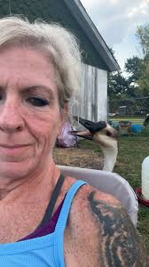 Oakland Feeding the ducks and geese Something generations have done.......