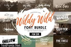 Looking for script wild fonts? Wildy Wild Font Bundle 4233060