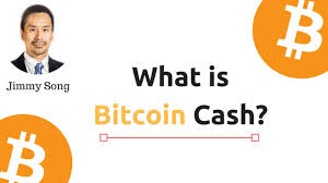 How is bitcoin cash different from bitcoin? Bitcoin Cash All About Cryptocurrency Bitcoinwiki