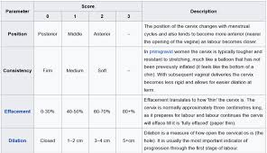 Image result for Bishop Score