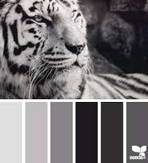 Black And White Color Scheme Website Chernyj Furniture Color Schemes Design Seeds Seeds Color