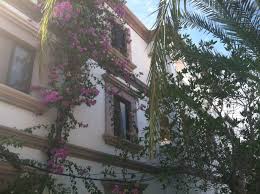 Colores del desierto is a flower shop located in san jose del cabo, b.c.s. Things To Do In San Jose Del Cabo