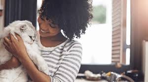 Home Remedies For Pet Allergies