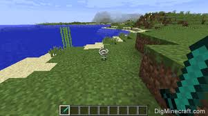 How To Clear Ground Items In Minecraft - Quora