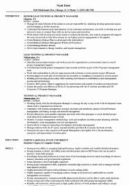 Although the sales field requires specific technical skills, employers also look for other. 25 Project Manager Resume Sample Doc In 2020 Marketing Resume Job Resume Examples Resume Cute766