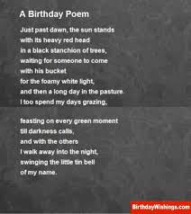 Pin On Happy Birthday Poems