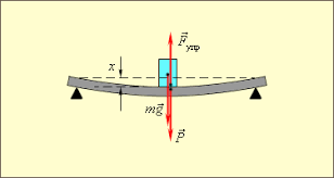 Fie un resort de masa neglijabila, lungime si constanta elastica k , suspendat de capatul sau superior. Formula Legii Lui Hooke Este FormulÄƒ Descrierea ExperienÈ›ei Legea Lui Hooke Poate Fi Exprimat Prin Formula