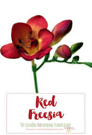 Maybe you would like to learn more about one of these? Names And Types Of Red Wedding Flowers With Seasons Pics
