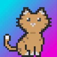 Pixelcat Nft On Chain Cardano Nft Pixelcatcnft Twitter