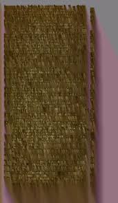 Image result for Vernonia madefacta